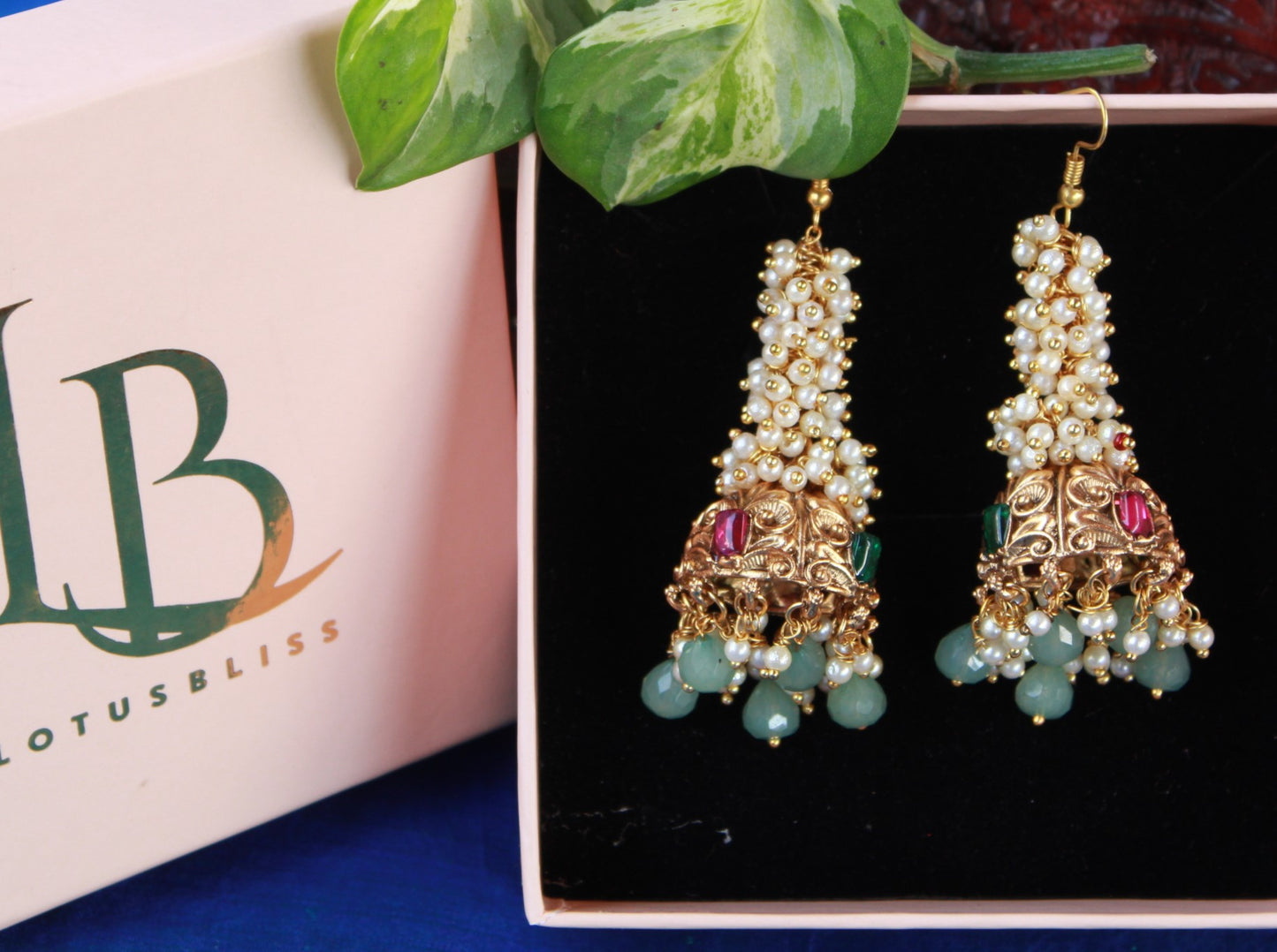 Multicolor Dayanita  Jhumkis