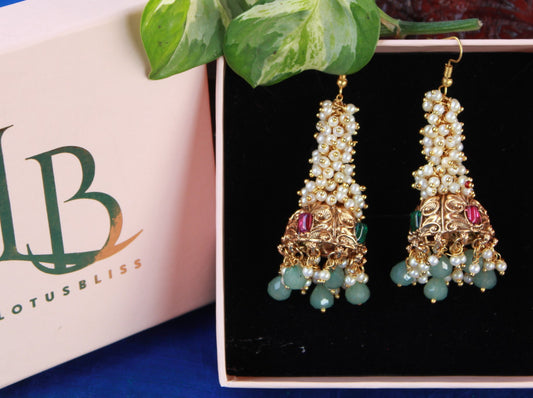 Multicolor Dayanita  Jhumkis