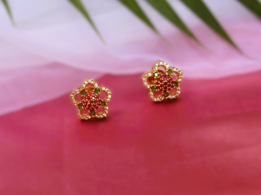 Multicolor Ipsita Studs